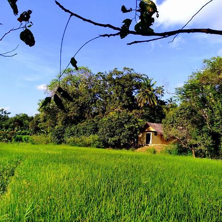 Raintree Vila Dambulla Exterior foto