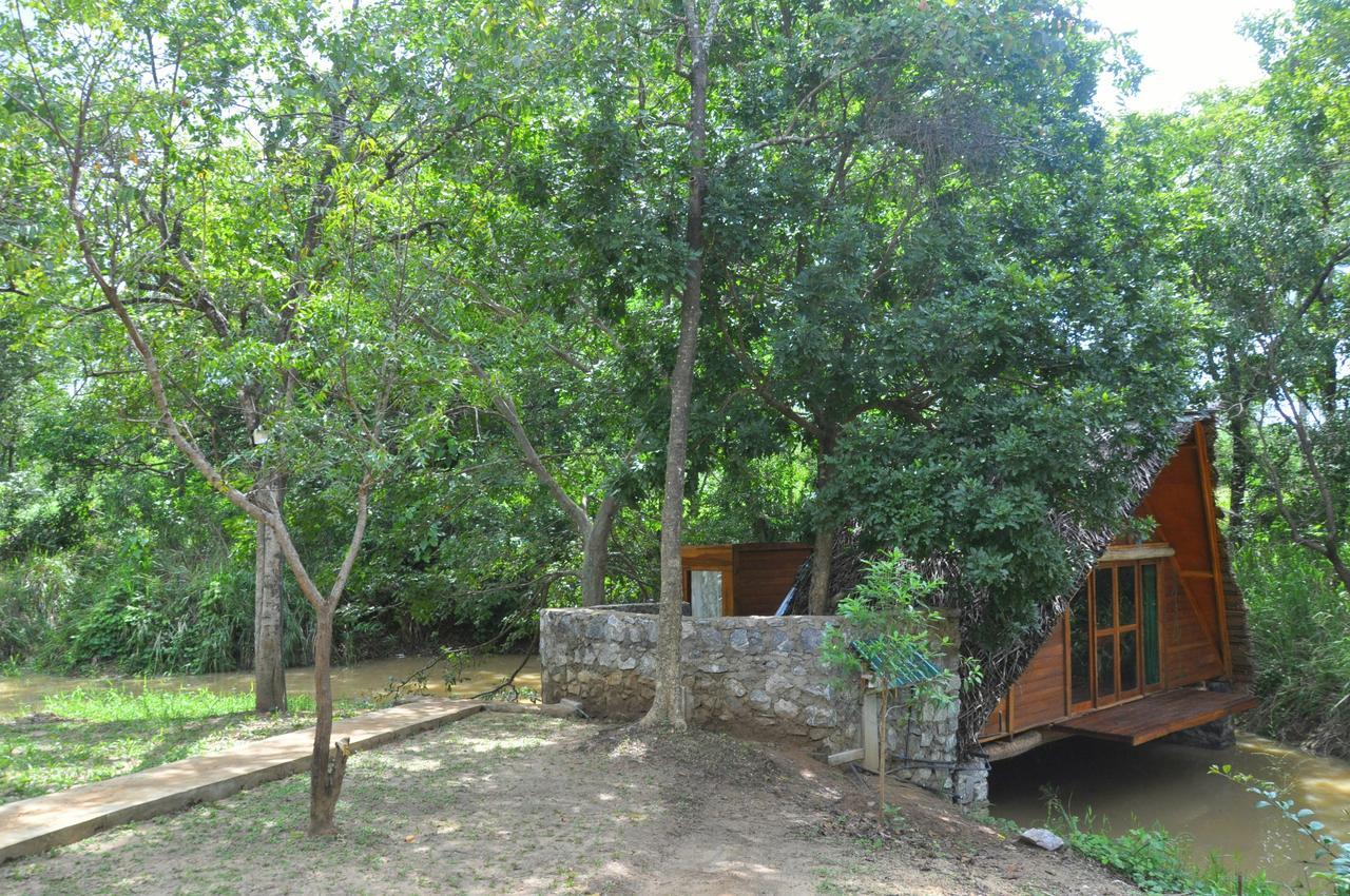 Raintree Vila Dambulla Exterior foto