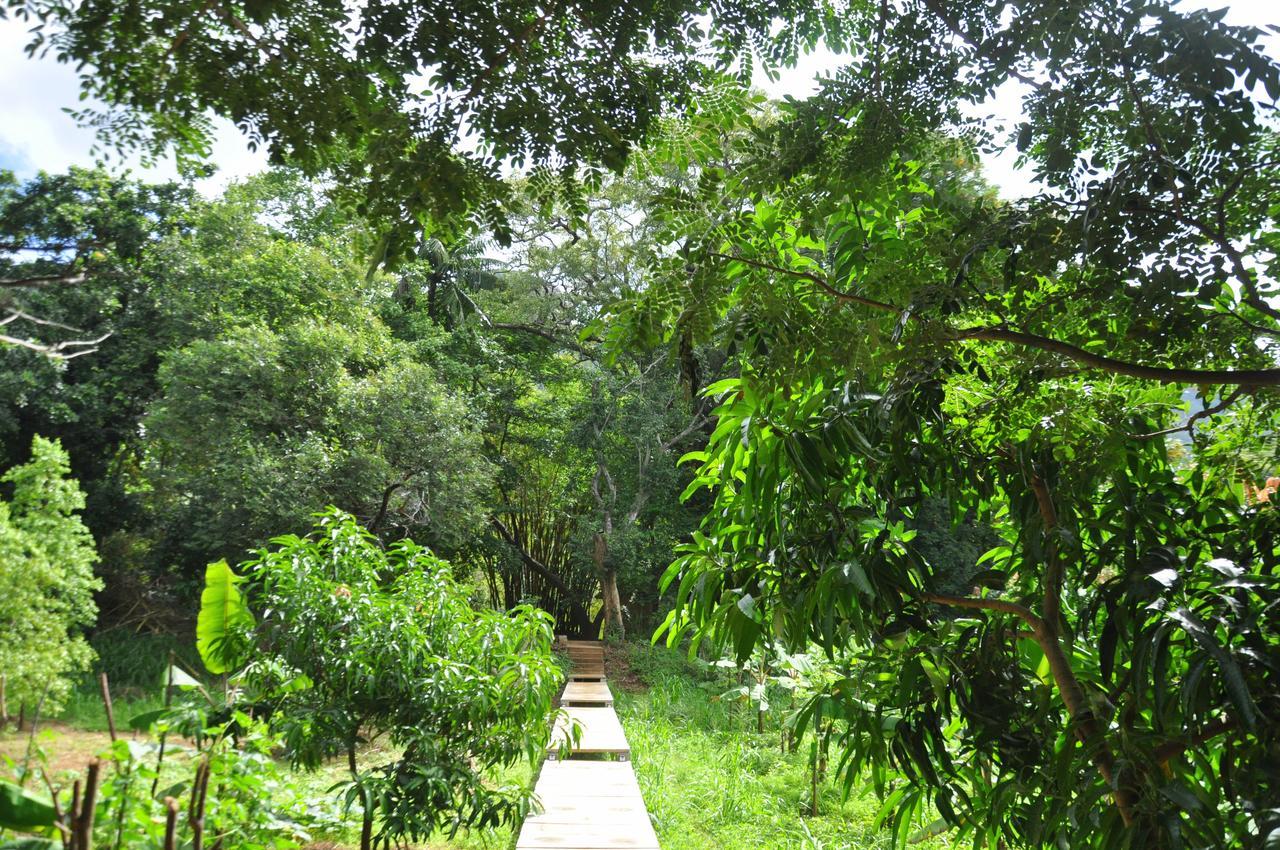 Raintree Vila Dambulla Exterior foto