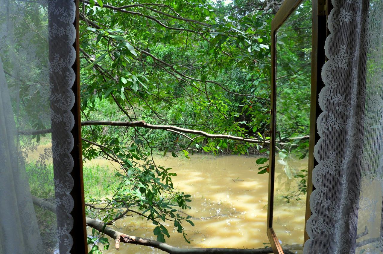 Raintree Vila Dambulla Exterior foto
