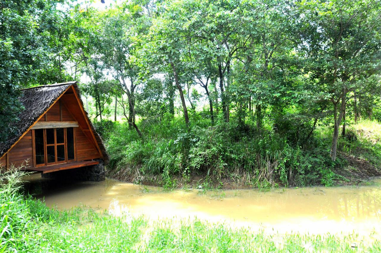 Raintree Vila Dambulla Exterior foto