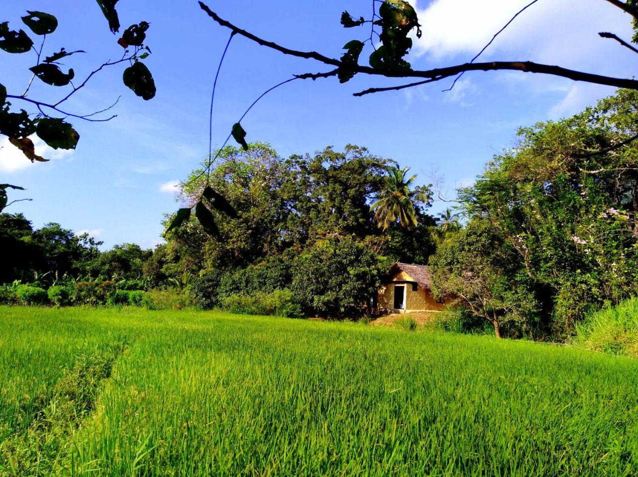 Raintree Vila Dambulla Exterior foto