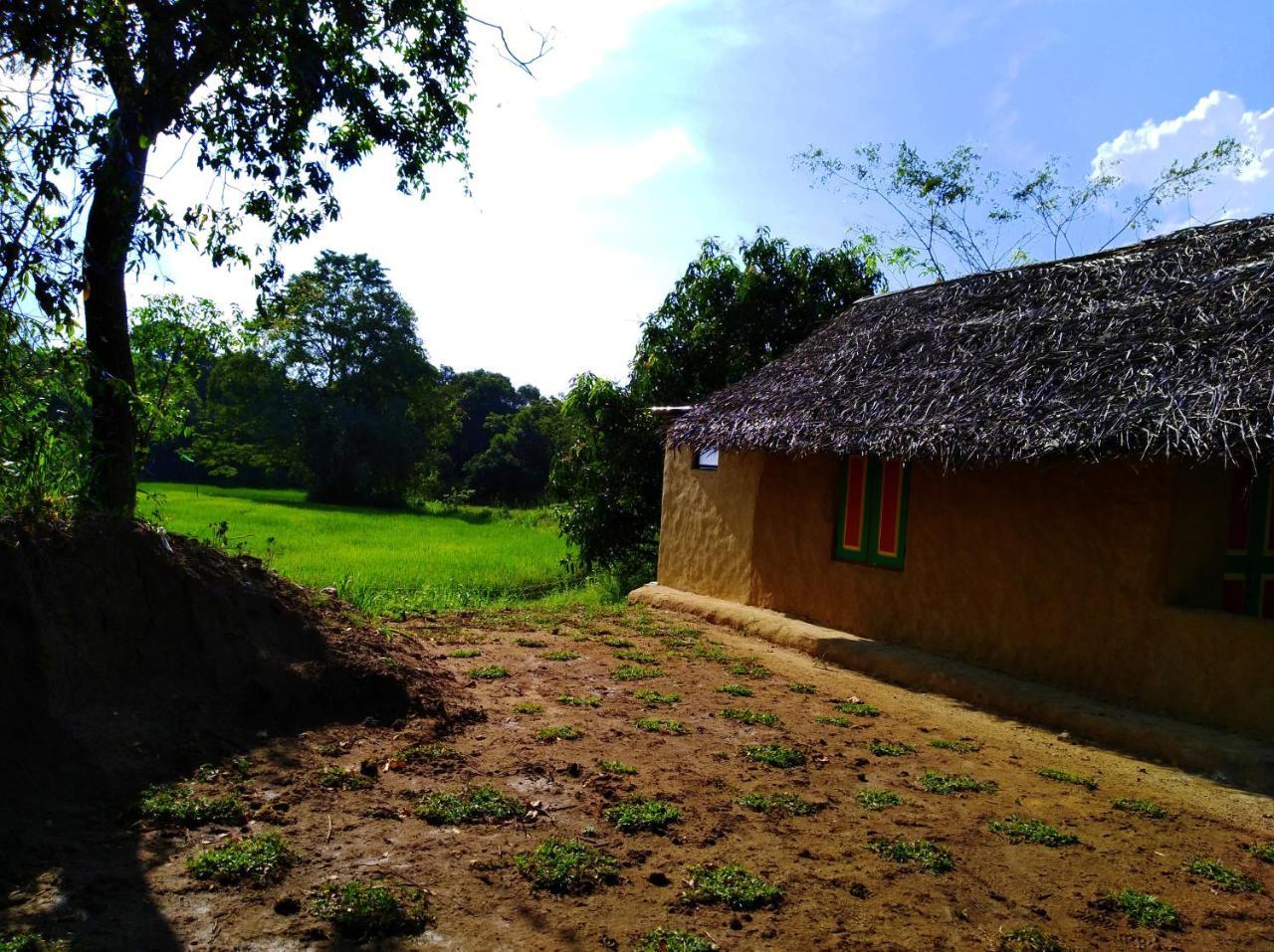 Raintree Vila Dambulla Exterior foto