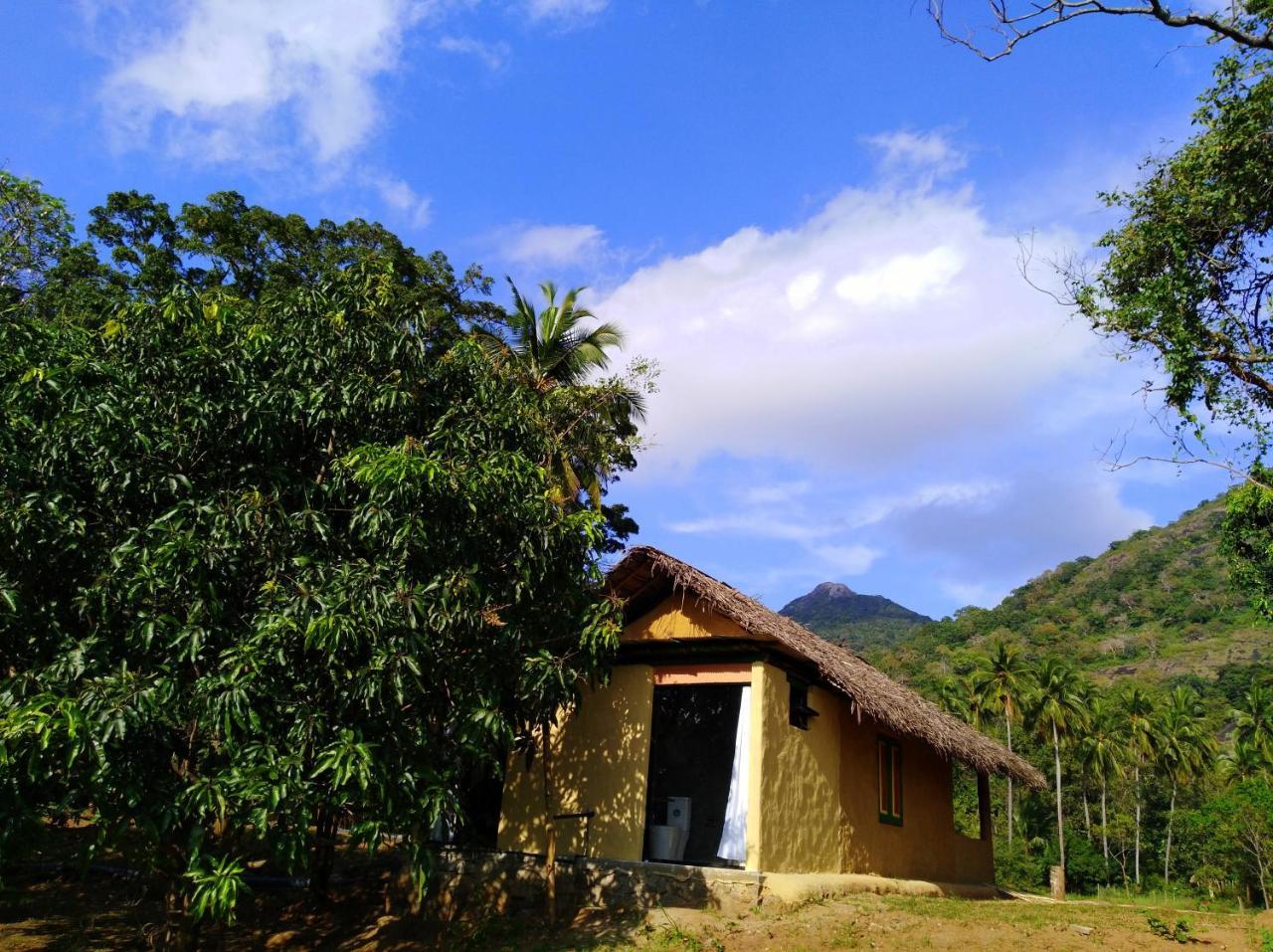 Raintree Vila Dambulla Exterior foto