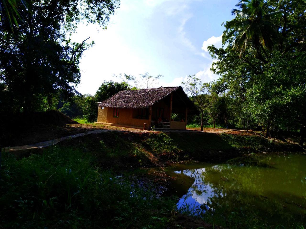 Raintree Vila Dambulla Exterior foto