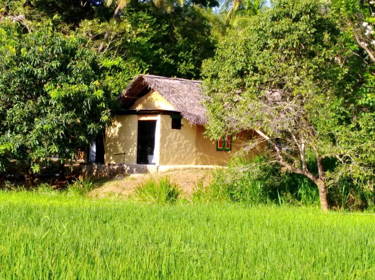Raintree Vila Dambulla Exterior foto
