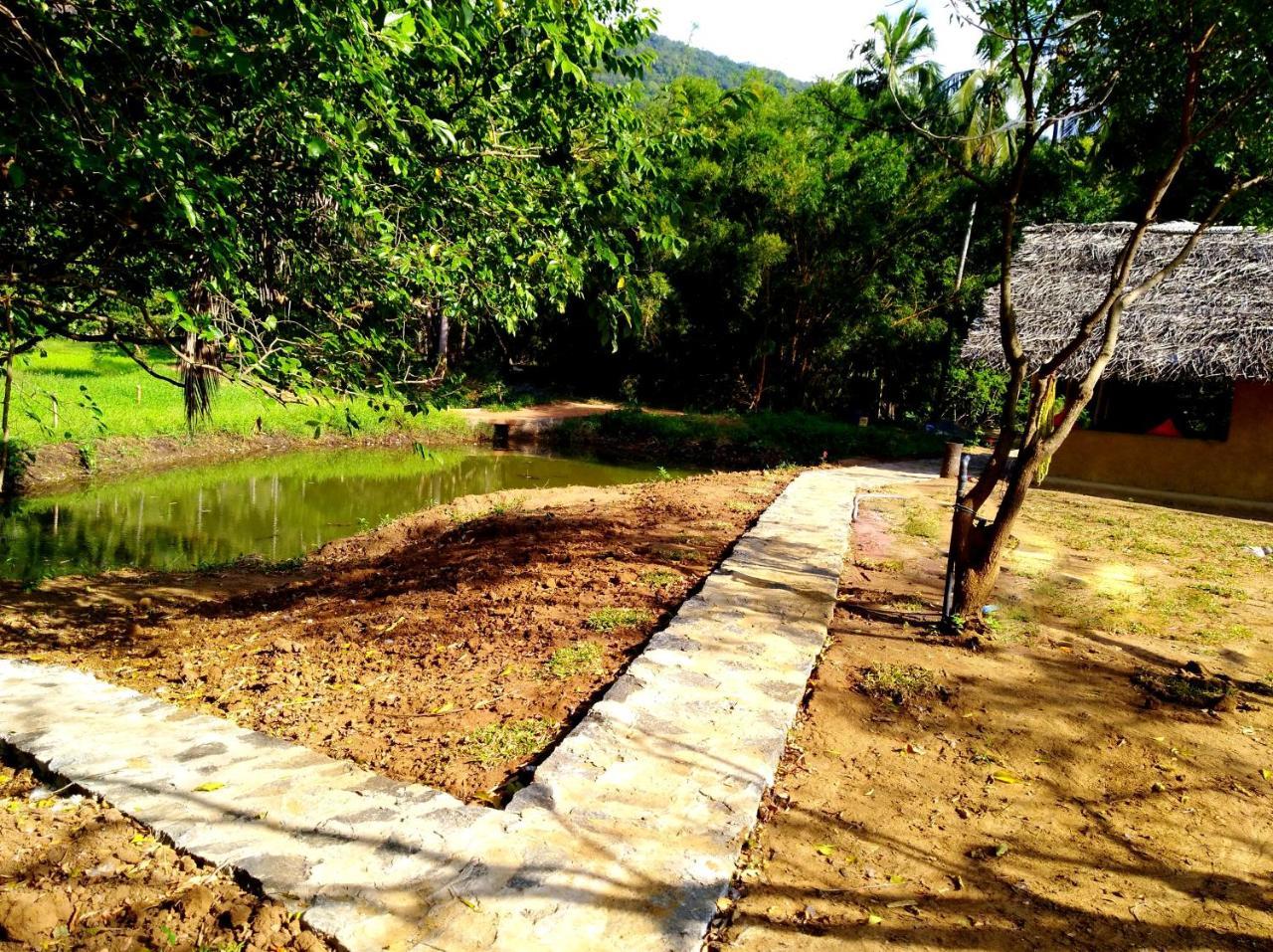 Raintree Vila Dambulla Exterior foto